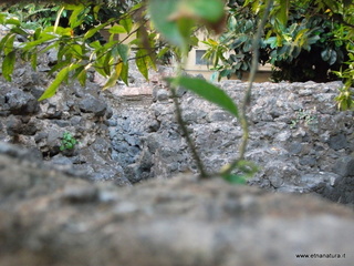 ogeo Quadrato15-07-2014 19-35-28